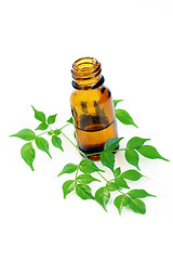 Image showing aromatherapy oil