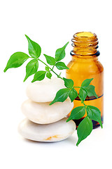 Image showing aromatherapy oil