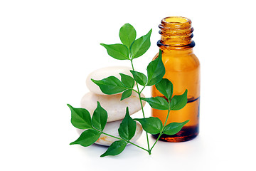 Image showing aromatherapy oil