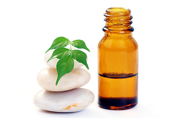Image showing aromatherapy oil