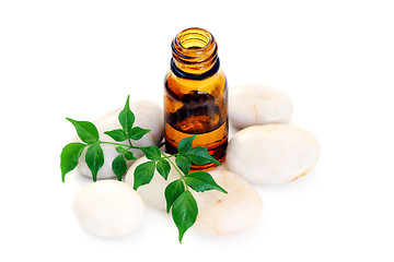 Image showing aromatherapy oil