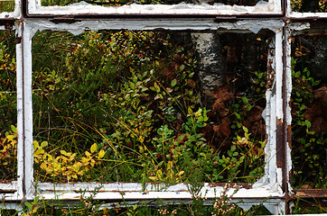 Image showing Window to nature.
