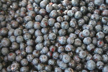 Image showing Wild Alaska Blueberries