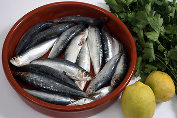 Image showing sardines with tomato and bread horizontal