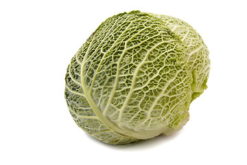 Image showing Head of savoy cabbage