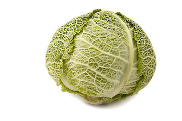 Image showing Head of savoy cabbage