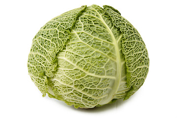 Image showing Head of savoy cabbage