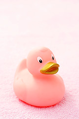 Image showing rubber duck