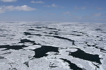 Image showing Canadian Arctic