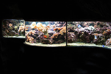 Image showing aquarium background