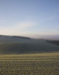 Image showing Foggy Day 5