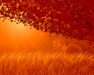 Image showing Abstract forest orange background