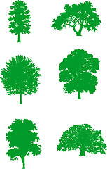 Image showing Green trees