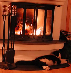 Image showing Cat with fireplace