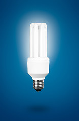 Image showing Fluorescent Light Bulb