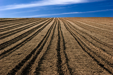Image showing Ploughed field