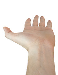 Image showing Man hand.