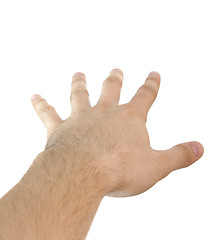 Image showing Man hand.