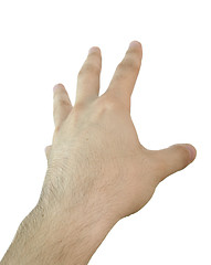 Image showing Man hand.