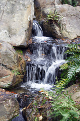 Image showing Natural Spring