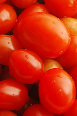 Image showing grape tomatoes
