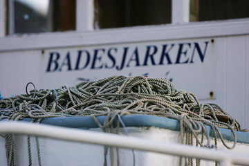 Image showing Badesjarken
