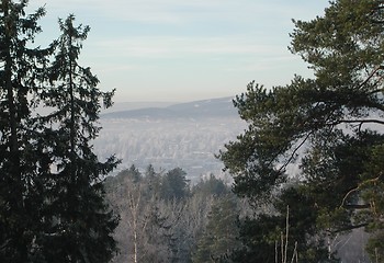 Image showing View between trees