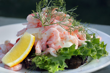 Image showing Shrimp salad sandwich