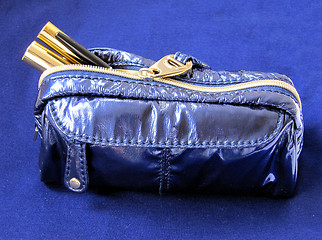 Image showing Blue Makeup Bag