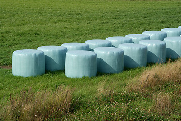 Image showing Silage Bales