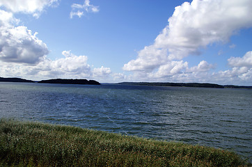 Image showing Sea Sky and Reeds