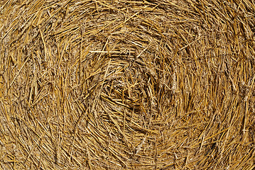 Image showing Straw Bale Texture