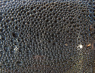 Image showing Bubbles