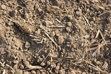 Image showing Dry Soil