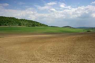 Image showing Feild