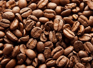 Image showing Coffee