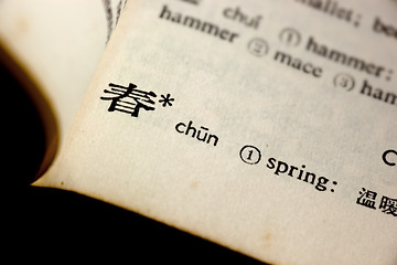 Image showing Spring in Chinese