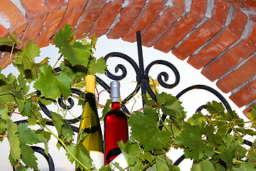 Image showing Wine bottles between vine leaves on brick window