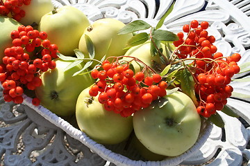 Image showing Transparent Blanche apples and rowanberries