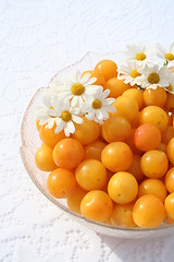 Image showing Ripe bullace fruits