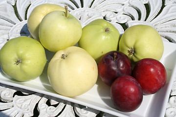 Image showing Transparent Blanche apple and plum 