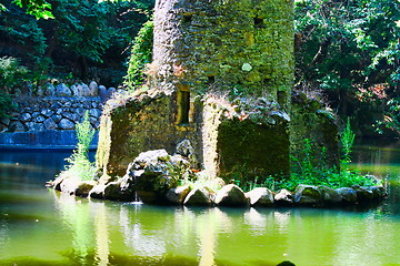 Image showing River in forest