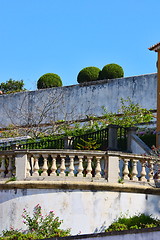 Image showing Beautiful wall in park