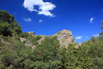 Image showing Mountain