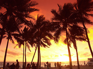 Image showing Sunset in Honolulu, Hawaii