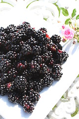 Image showing Blackberries