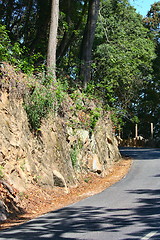 Image showing deserted rural country road  	 