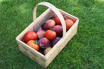 Image showing Basket with plums and tomatoes