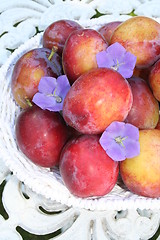 Image showing Sweet plums