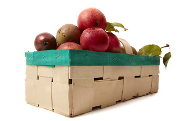 Image showing Basket with apple